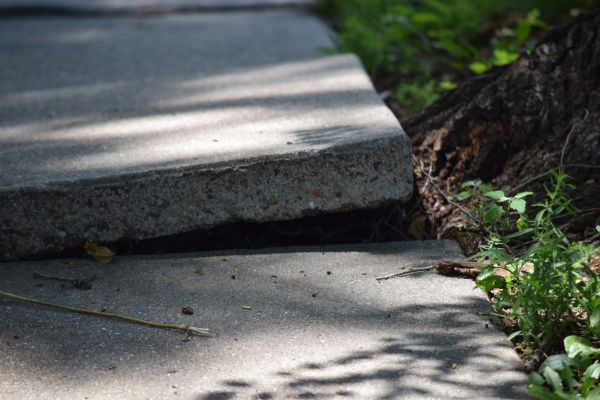 Cost of Sidewalk Leveling in Glen Allen