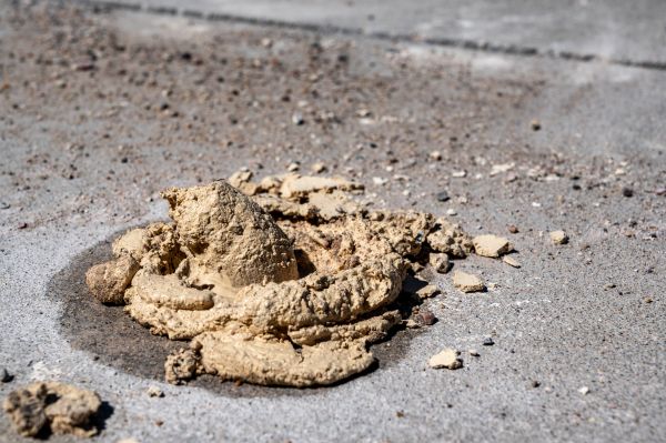 Cost of Driveway Slab Leveling in Glen Allen